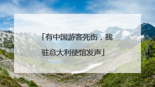 有中国游客死伤，我驻意大利使馆发声