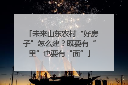 未来山东农村“好房子”怎么建？既要有“里”也要有“面”