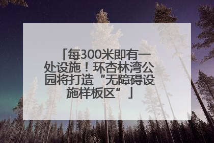 每300米即有一处设施！环杏林湾公园将打造“无障碍设施样板区”