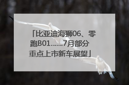 比亚迪海狮06、零跑B01……7月部分重点上市新车展望
