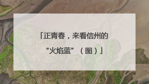 正青春，来看信州的“火焰蓝”（图）