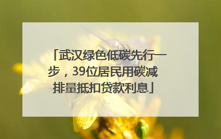 武汉绿色低碳先行一步，39位居民用碳减排量抵扣贷款利息