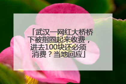 武汉一网红大桥桥下被指圈起来收费，进去100块还必须消费？当地回应