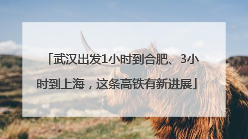 武汉出发1小时到合肥、3小时到上海，这条高铁有新进展