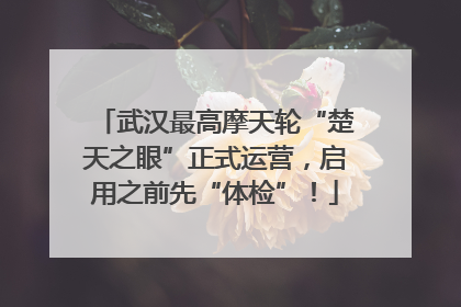 武汉最高摩天轮“楚天之眼”正式运营，启用之前先“体检”！