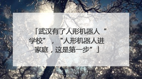 武汉有了人形机器人“学校”，“人形机器人进家庭，这是第一步”