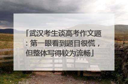 武汉考生谈高考作文题：第一眼看到题目很慌，但整体写得较为流畅