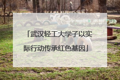 武汉轻工大学子以实际行动传承红色基因