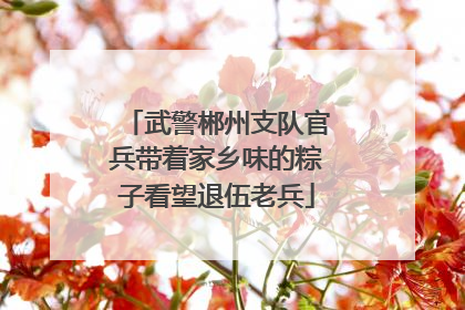 武警郴州支队官兵带着家乡味的粽子看望退伍老兵