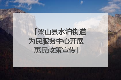 梁山县水泊街道为民服务中心开展惠民政策宣传