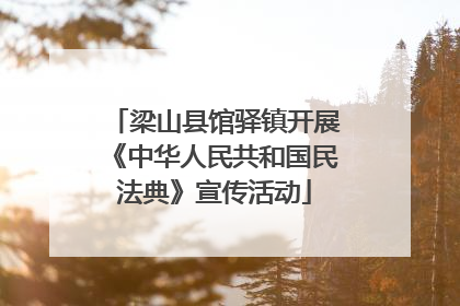 梁山县馆驿镇开展《中华人民共和国民法典》宣传活动