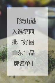 梁山港入选第四批“好品山东”品牌名单
