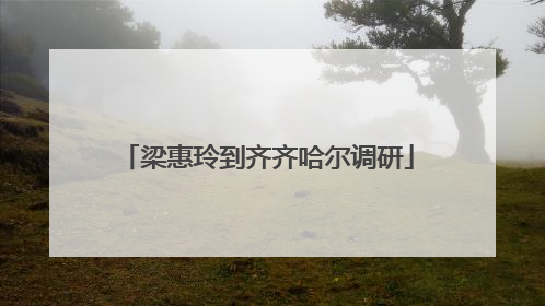 梁惠玲到齐齐哈尔调研