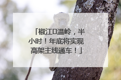 椒江⇌温岭，半小时！年底将实现高架主线通车！