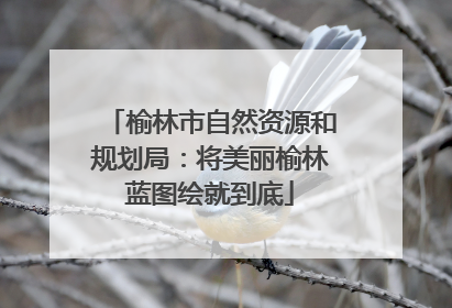 榆林市自然资源和规划局：将美丽榆林蓝图绘就到底