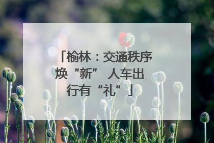 榆林：交通秩序焕“新” 人车出行有“礼”