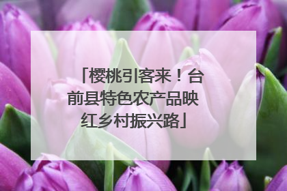 樱桃引客来!台前县特色农产品映红乡村振兴路