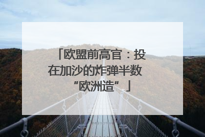 欧盟前高官：投在加沙的炸弹半数“欧洲造”