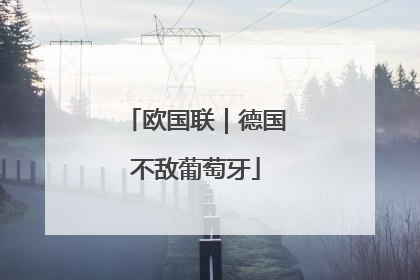 欧国联｜德国不敌葡萄牙