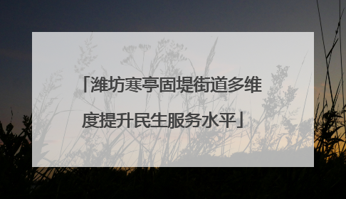 潍坊寒亭固堤街道多维度提升民生服务水平