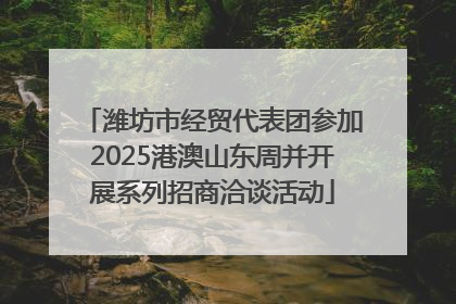 潍坊市经贸代表团参加2025港澳山东周并开展系列招商洽谈活动