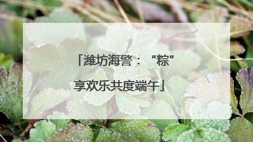 潍坊海警：“粽”享欢乐共度端午