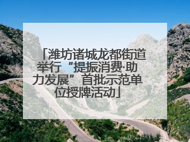 潍坊诸城龙都街道举行“提振消费·助力发展”首批示范单位授牌活动