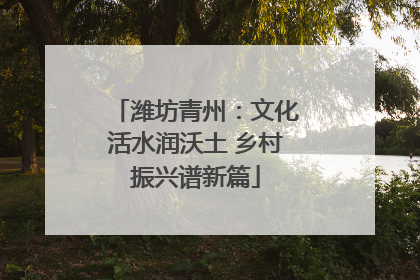 潍坊青州：文化活水润沃土 乡村振兴谱新篇