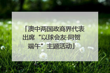 澳中两国政商界代表出席“以球会友·同贺端午”主题活动