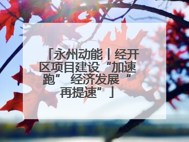 永州动能丨经开区项目建设“加速跑” 经济发展“再提速”