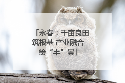 永春：千亩良田筑根基 产业融合绘“丰”景