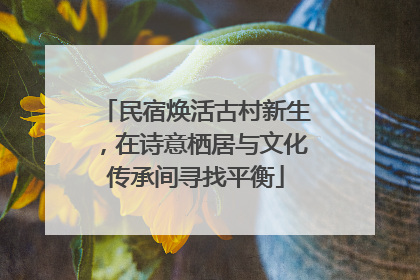 民宿焕活古村新生，在诗意栖居与文化传承间寻找平衡