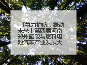 氢力护航，绿动未来丨第四届河南郑州氢能与燃料电池汽车产业发展大会启幕