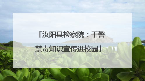 汝阳县检察院：干警禁毒知识宣传进校园