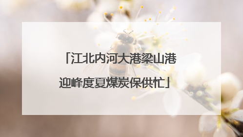 江北内河大港梁山港迎峰度夏煤炭保供忙