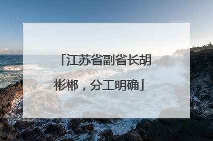 江苏省副省长胡彬郴，分工明确