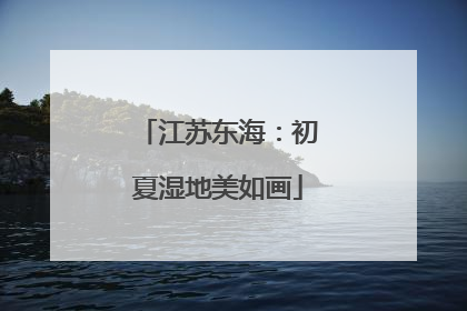 江苏东海：初夏湿地美如画