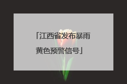 江西省发布暴雨黄色预警信号