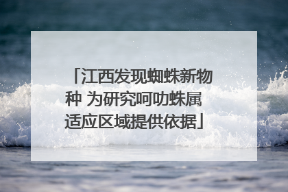 江西发现蜘蛛新物种 为研究呵叻蛛属适应区域提供依据