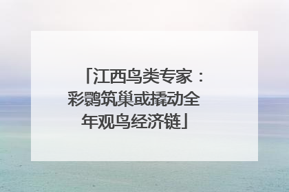 江西鸟类专家：彩鹮筑巢或撬动全年观鸟经济链