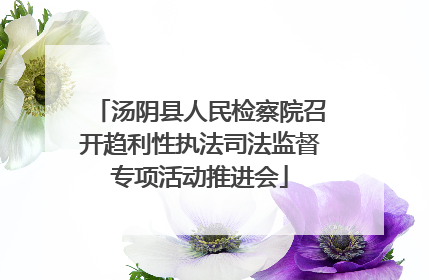 汤阴县人民检察院召开趋利性执法司法监督专项活动推进会