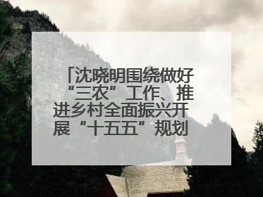 沈晓明围绕做好“三农”工作、推进乡村全面振兴开展“十五五”规划专题调研