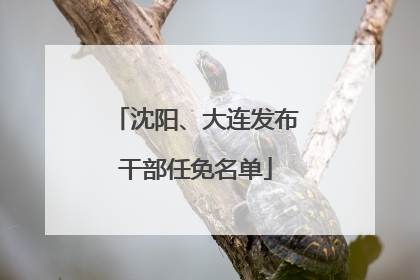 沈阳、大连发布干部任免名单