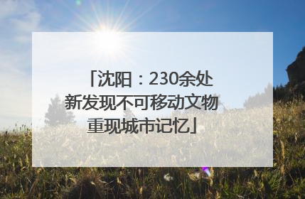 沈阳：230余处新发现不可移动文物重现城市记忆