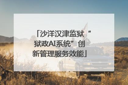 沙洋汉津监狱“狱政AI系统”创新管理服务效能