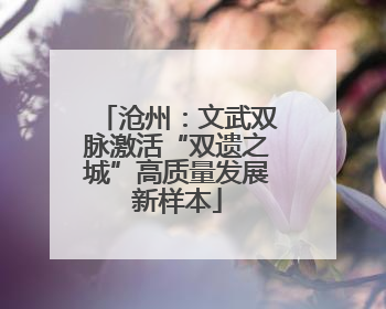 沧州：文武双脉激活“双遗之城”高质量发展新样本