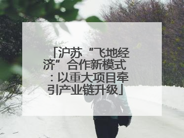 沪苏“飞地经济”合作新模式：以重大项目牵引产业链升级