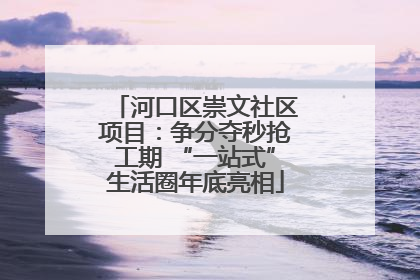 河口区崇文社区项目：争分夺秒抢工期 “一站式”生活圈年底亮相