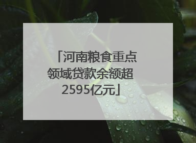 河南粮食重点领域贷款余额超2595亿元