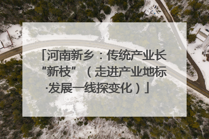 河南新乡：传统产业长“新枝”（走进产业地标·发展一线探变化）